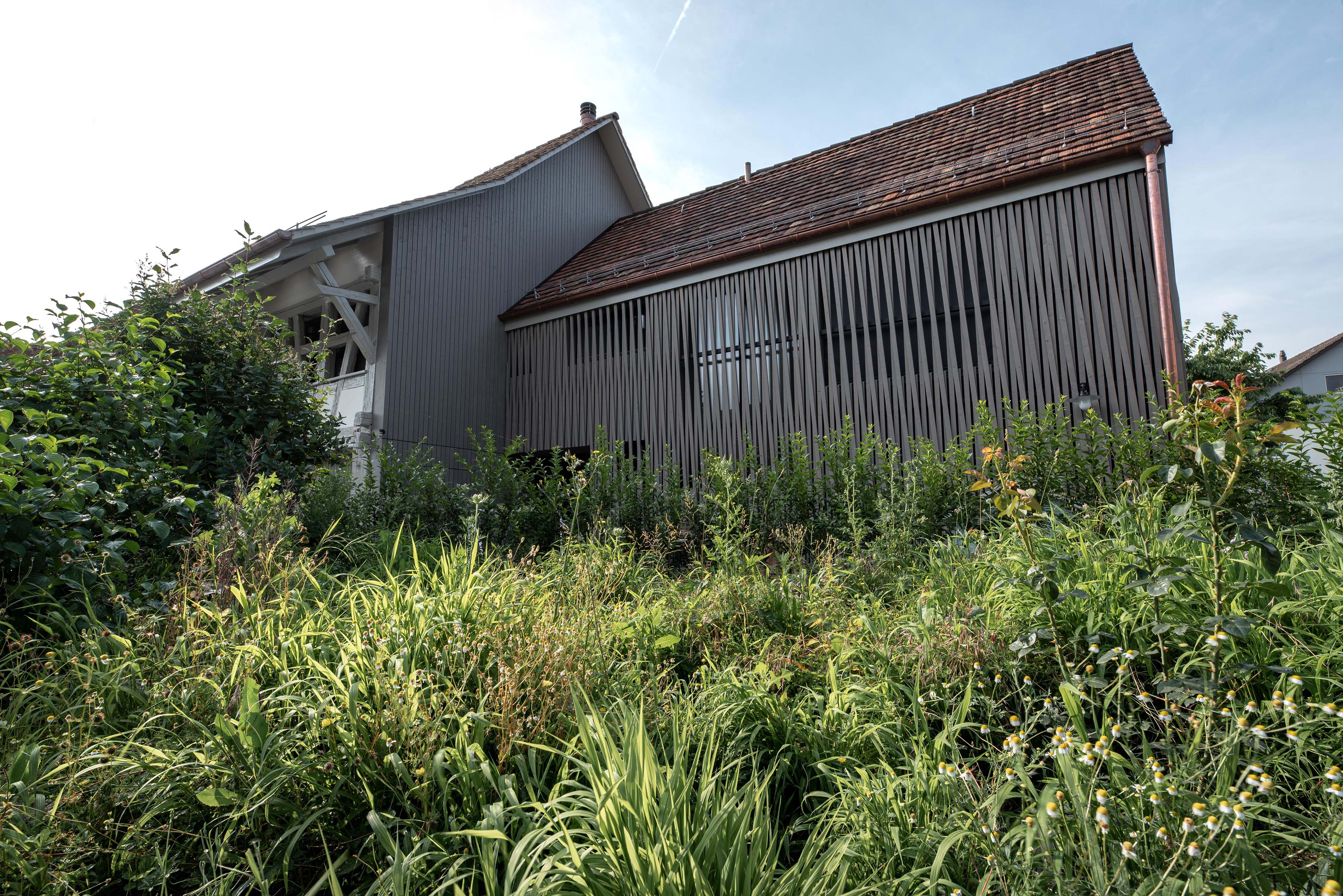 REFH Rafz Fassade Neubau