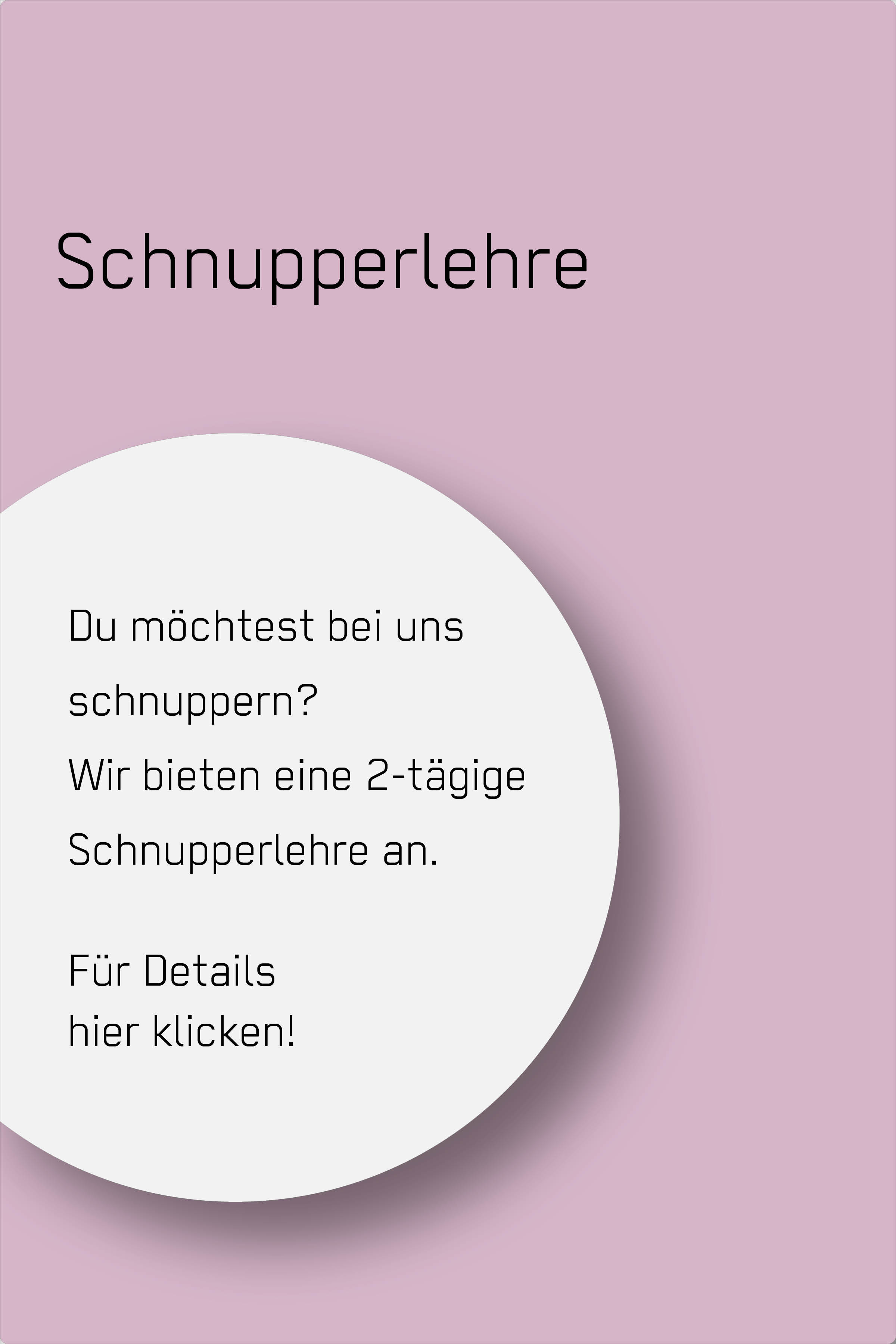 Schnupperlehre_